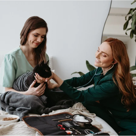 Comportamento e Medicina de Felinos